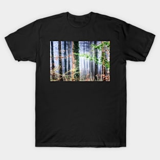 Ivy on the Pine T-Shirt